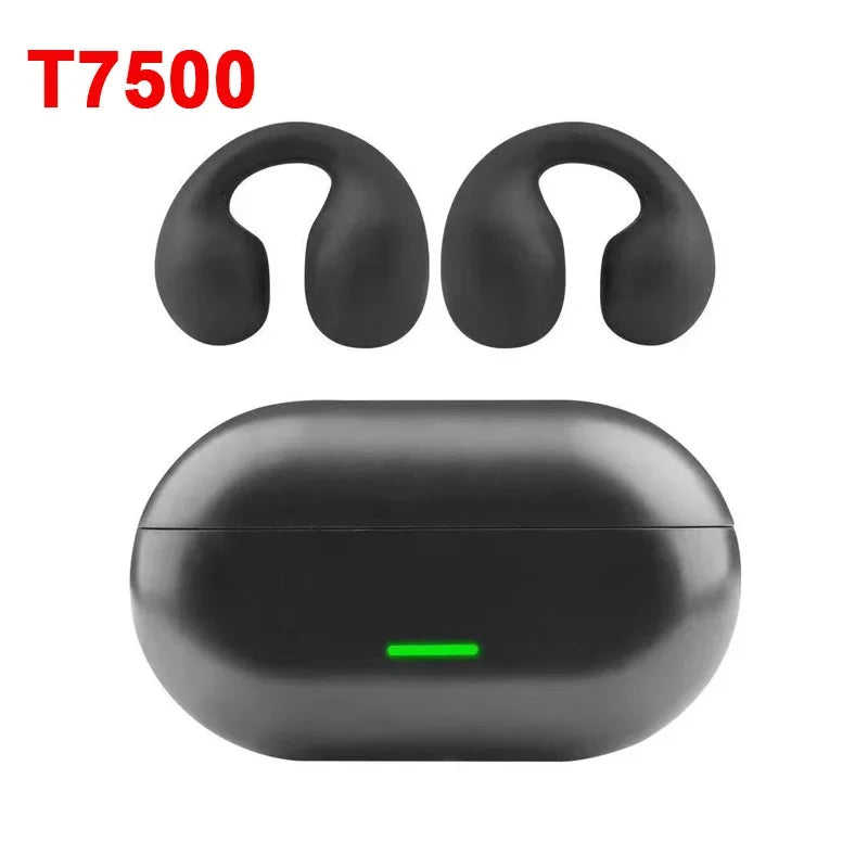 DIXSG Bluetooth 5.3 Ear Hook Wireless Earbuds for Sports and Music