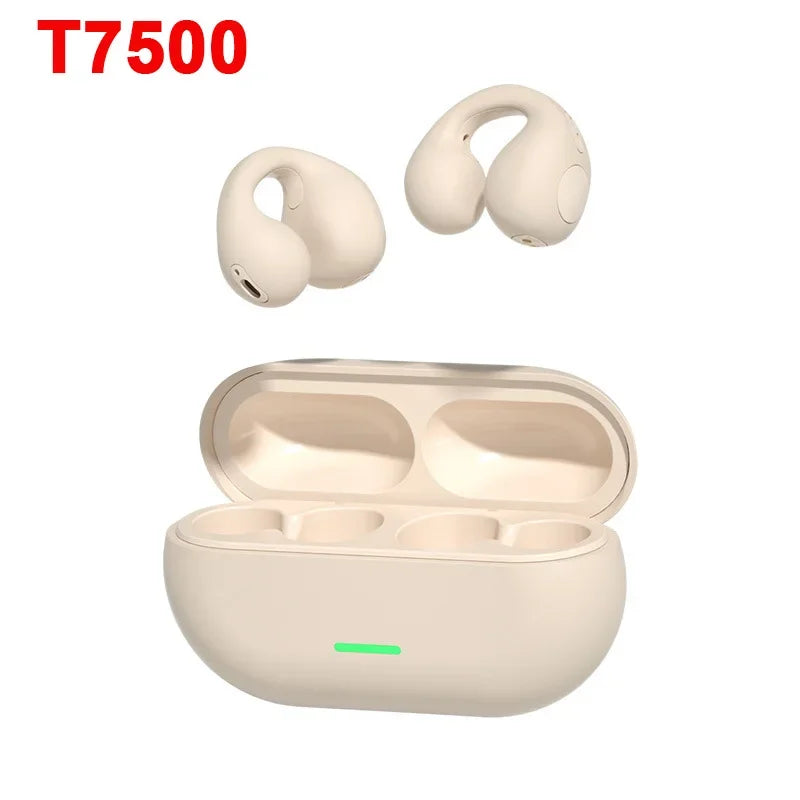 DIXSG Bluetooth 5.3 Ear Hook Wireless Earbuds for Sports and Music