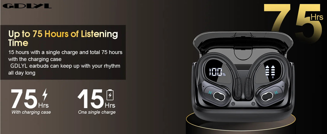HD65 Wireless Earbuds