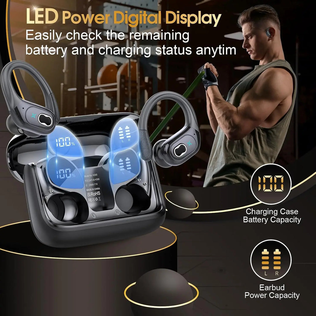 HD65 Wireless Earbuds