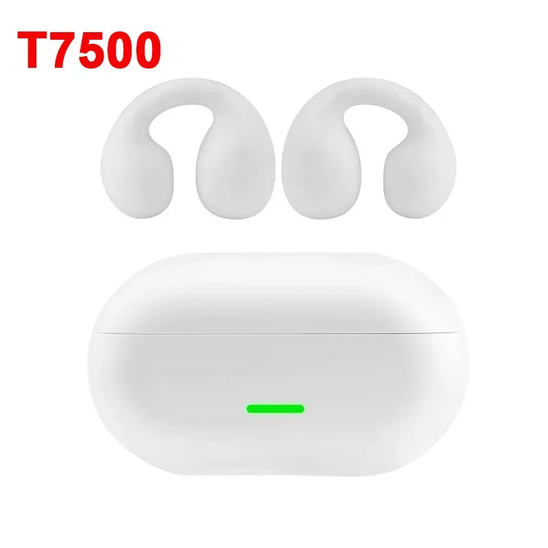 DIXSG Bluetooth 5.3 Ear Hook Wireless Earbuds for Sports and Music